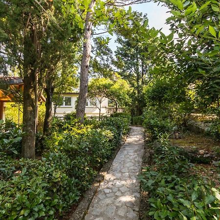 Apartmani "Ostro" Crikvenica 클랄제비카 외부 사진